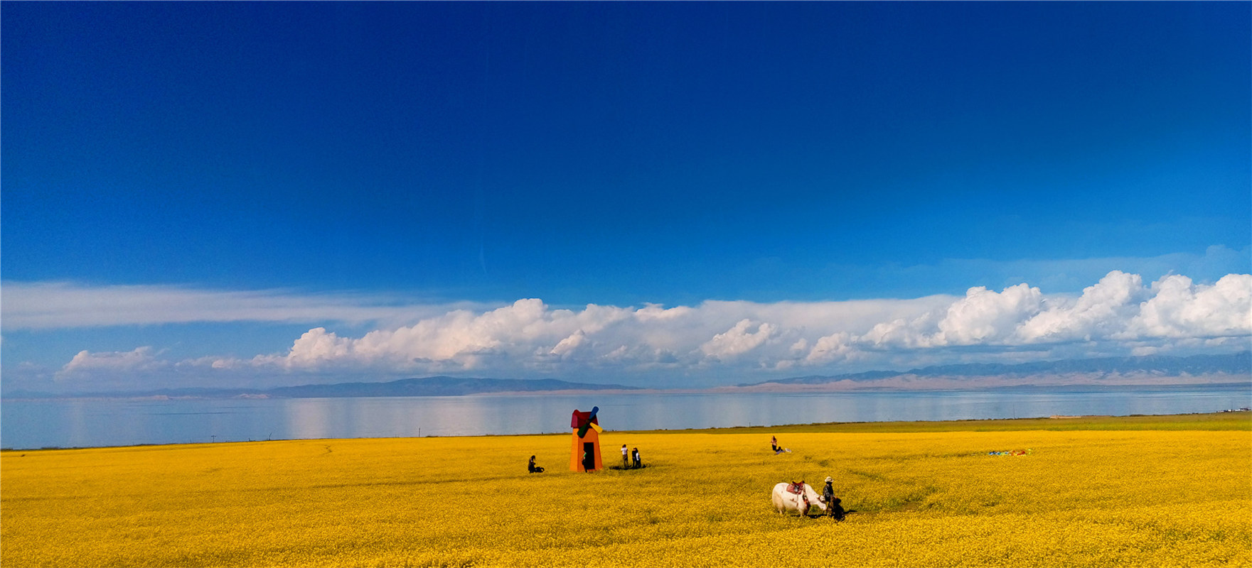 《大美青?！穭㈤?/>
                                    <div   id=