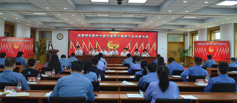 樂(lè)凱膠片召開共青團(tuán)第三次代表大會(huì)