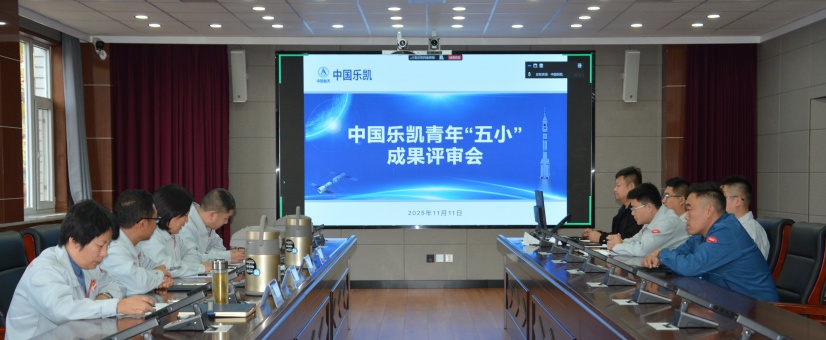 激揚青春智造力！中國樂凱團委召開青年&ldquo;五小&rdquo;成果評審會